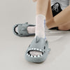 The Shark Slippers