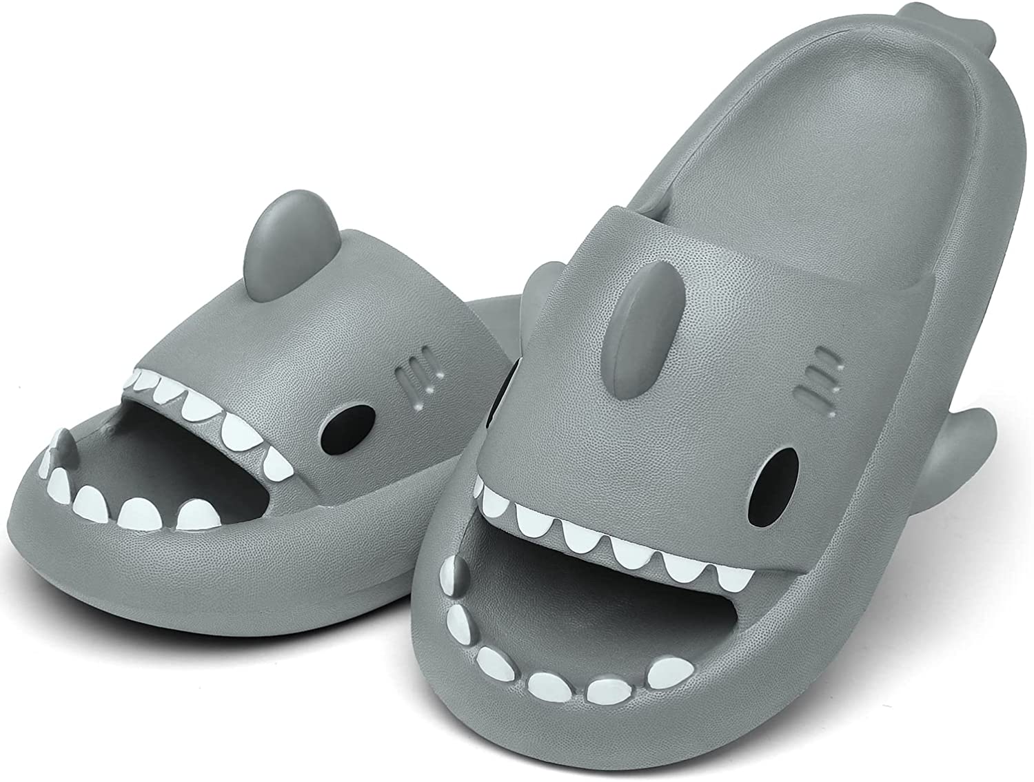 The Shark Slippers